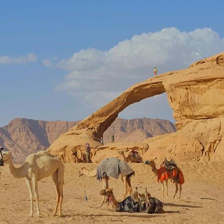 Wadi Rum Desert Camp מראה חיצוני תמונה